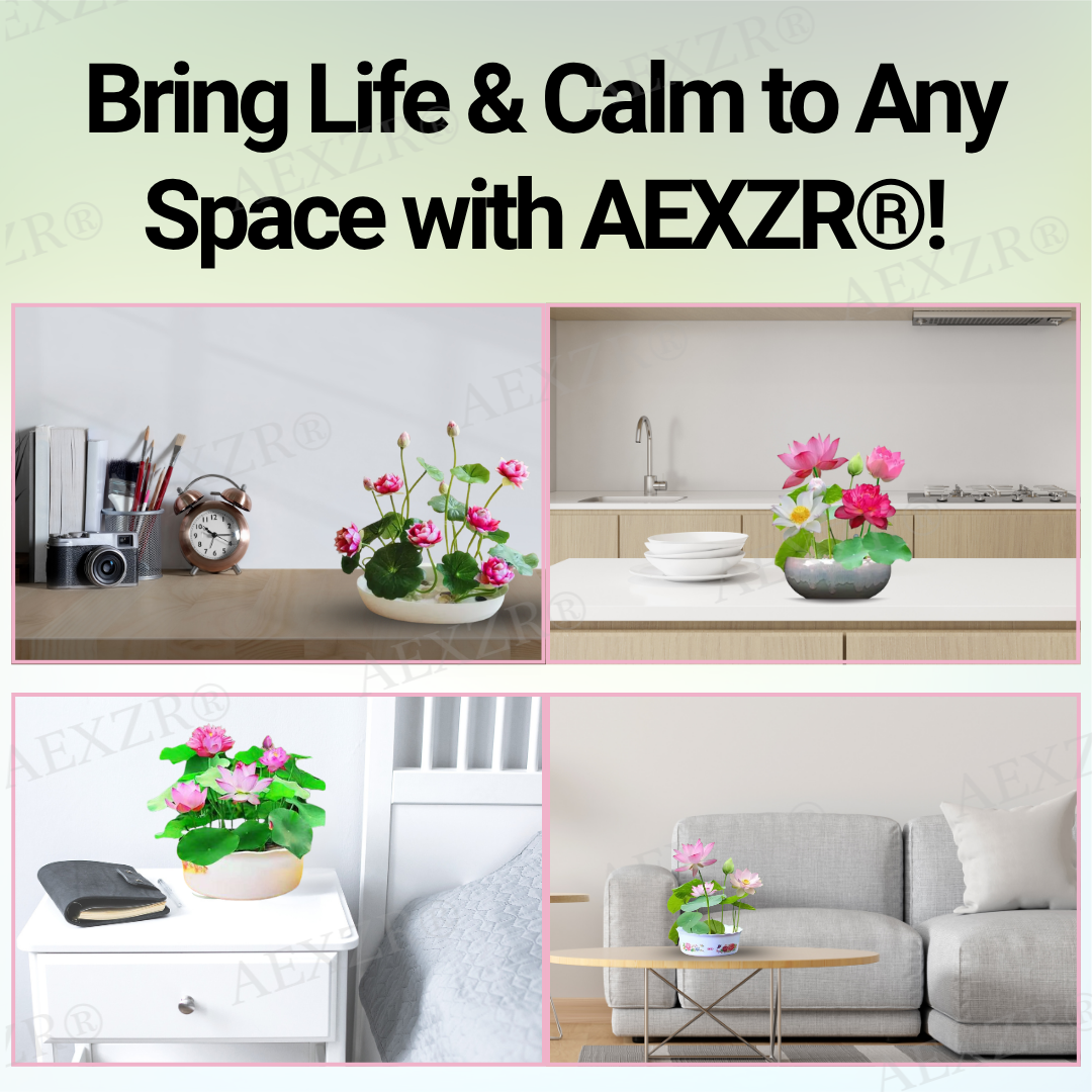 🌟 Official Store |Few Stocks Left🔥Hot Sale - 50% OFF🌿AEXZR® Sacred Bonsai Lotus Seeds