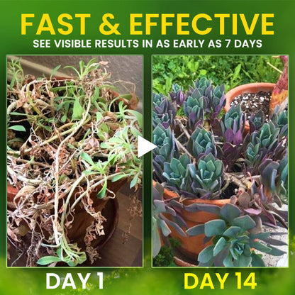 🌟 Official Store |🔥Hot Sale - 50% OFF🌿AEXZR® 2 in 1 Vita-Enzyme Solution