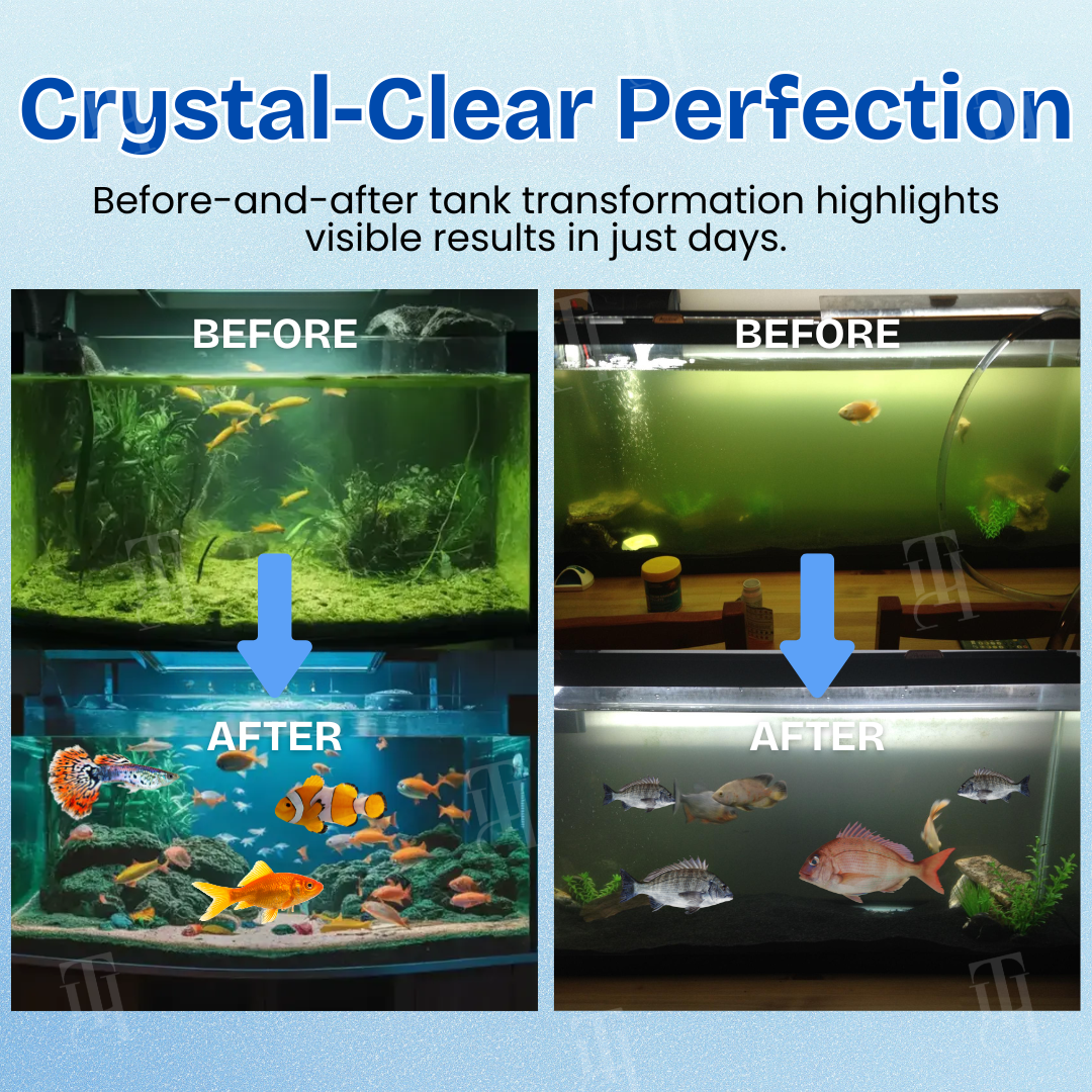 🌟 Official Store |Few Stocks Left🔥Hot Sale - 50% OFF🌿AEXZR® Aquariums Aqua-Guardian Blend