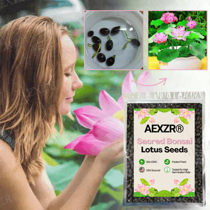 🌟 Official Store |Few Stocks Left🔥Hot Sale - 50% OFF🌿AEXZR® Sacred Bonsai Lotus Seeds