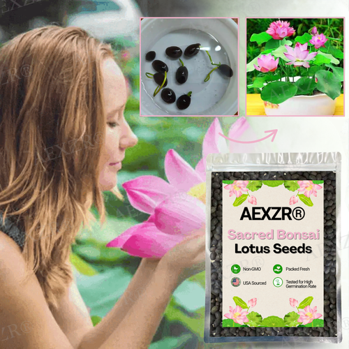 🌟 Official Store |Few Stocks Left🔥Hot Sale - 50% OFF🌿AEXZR® Sacred Bonsai Lotus Seeds