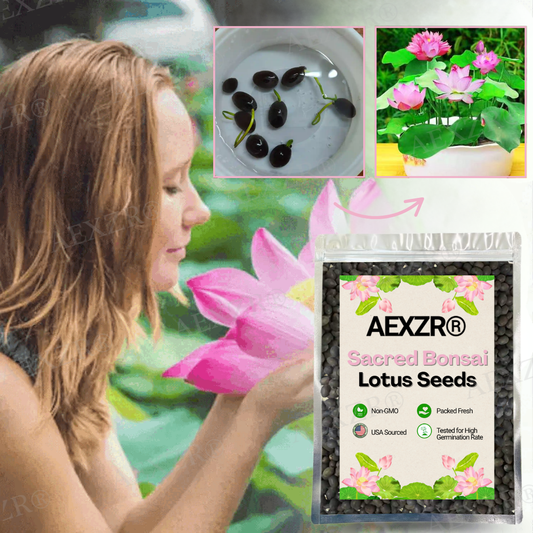 🌟 Official Store |Few Stocks Left🔥Hot Sale - 50% OFF🌿AEXZR® Sacred Bonsai Lotus Seeds